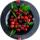 Lunavelle Tart Cherry